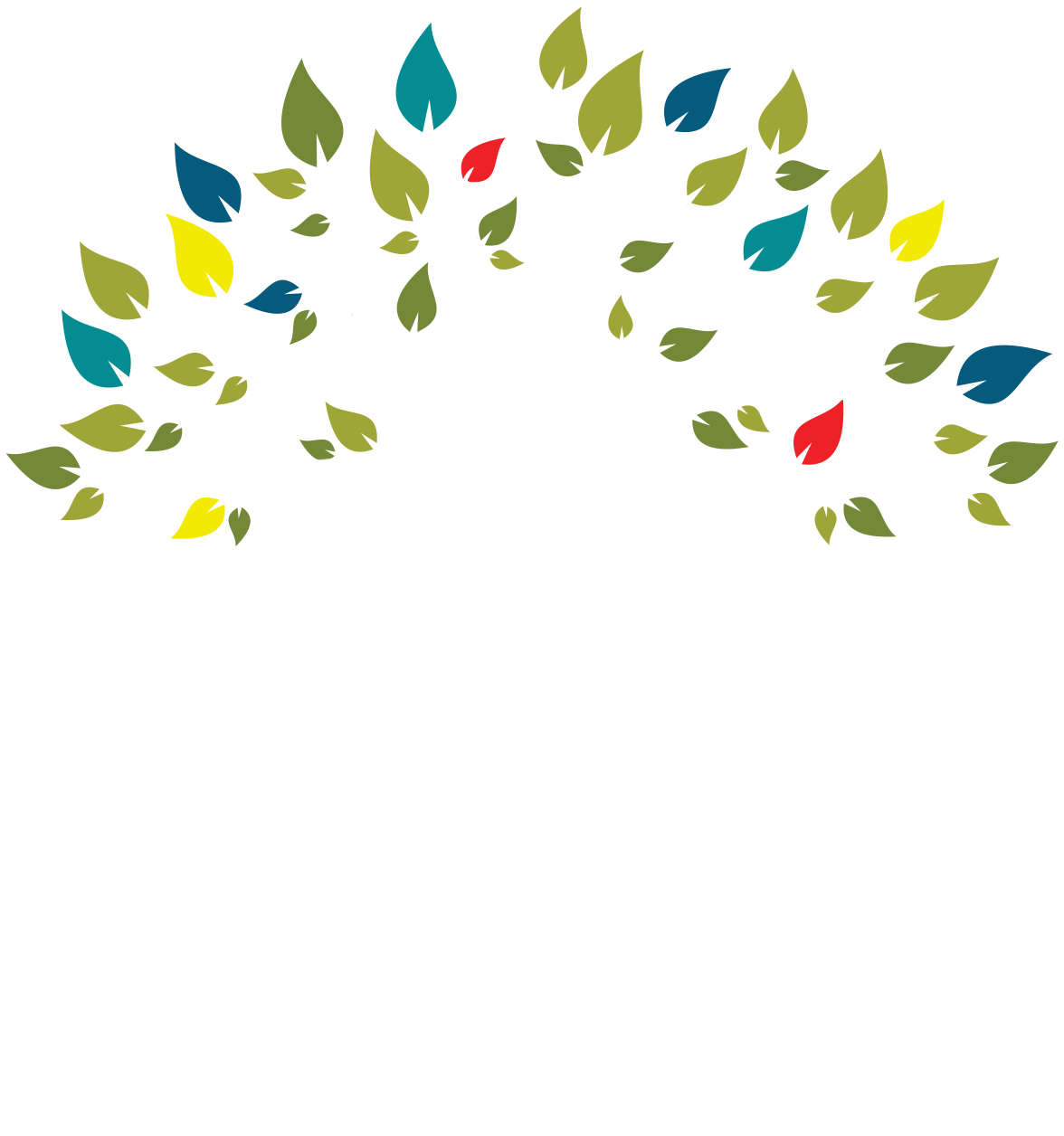 Guide to Wellness
